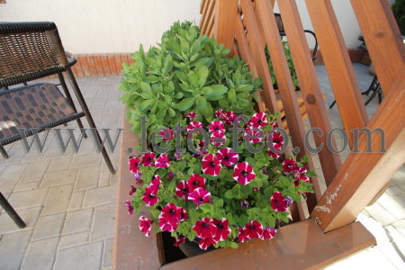 Фото двора